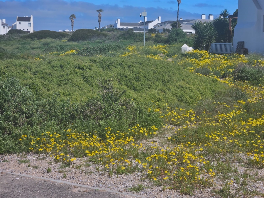 0 Bedroom Property for Sale in Shelley Point Western Cape